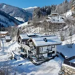Penthouse Schmittenblick 4 * Viehhofen