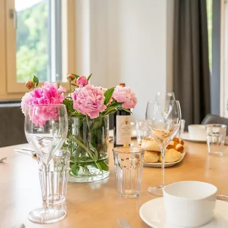 Penthouse Schmittenblick 4 펜션 *