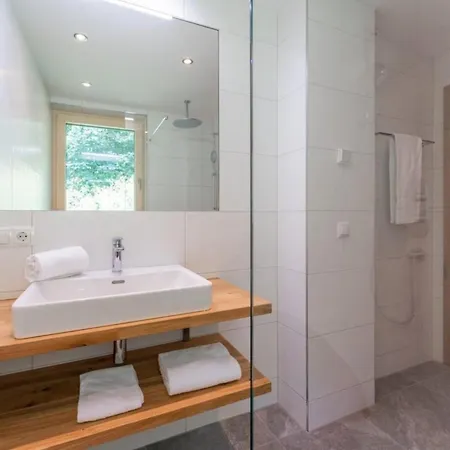 Penthouse Schmittenblick 4