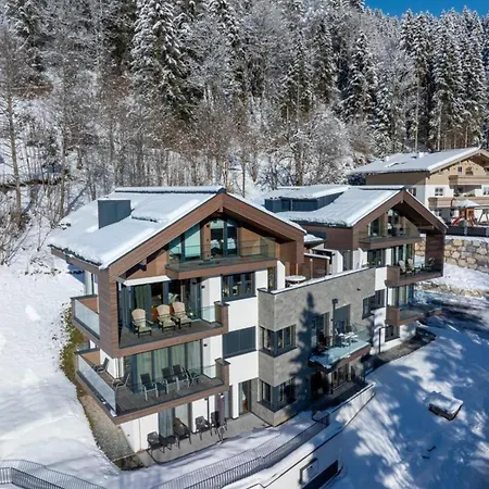 Penthouse Schmittenblick 4 비에호펜